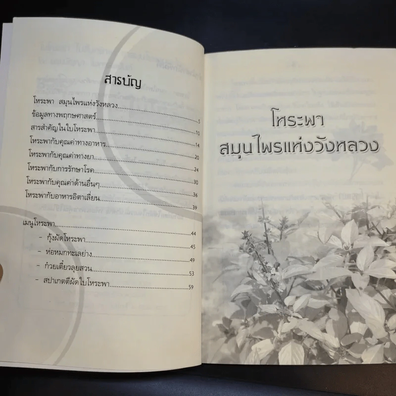ใบโหระพา ไม่สิ้นศรัทธา ยาสมุนไพรอมตะไทย - นพ.ปัญญา ไพศาลอนันต์ รูปที่ 10