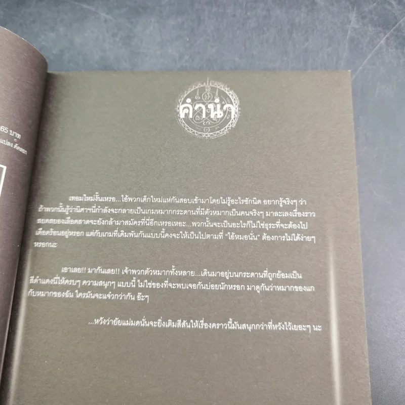การิน ปริศนาคดีอาถรรพ์ คดีที่ 7 บทแรก : บายศรีสังหาร รูปที่ 9