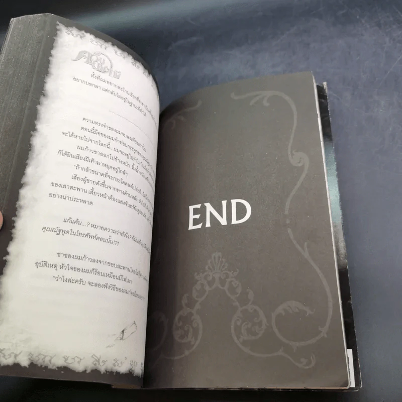 นิยาย การิน ปริศนาคดีอาถรรพ์ ภาค สลักบิดเบือนกรรม เล่ม 1 ตอน ควันเผาผี รูปที่ 13