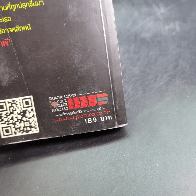 นิยาย การิน ปริศนาคดีอาถรรพ์ ภาค สลักบิดเบือนกรรม เล่ม 1 ตอน ควันเผาผี รูปที่ 7