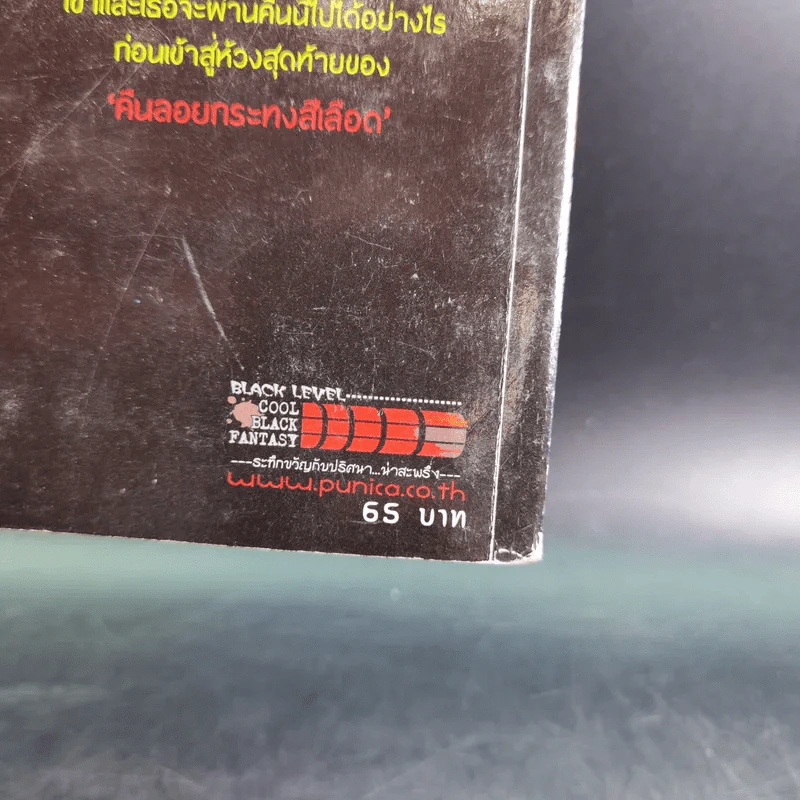 การิน ปริศนาคดีอาถรรพ์ คดีที่ 1 บทแรก : คืนลอยกระทงสีเลือด รูปที่ 3