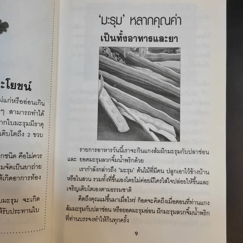 สมุนไพรคู่มหัศจรรย์ ยอ-มะรุม รูปที่ 12