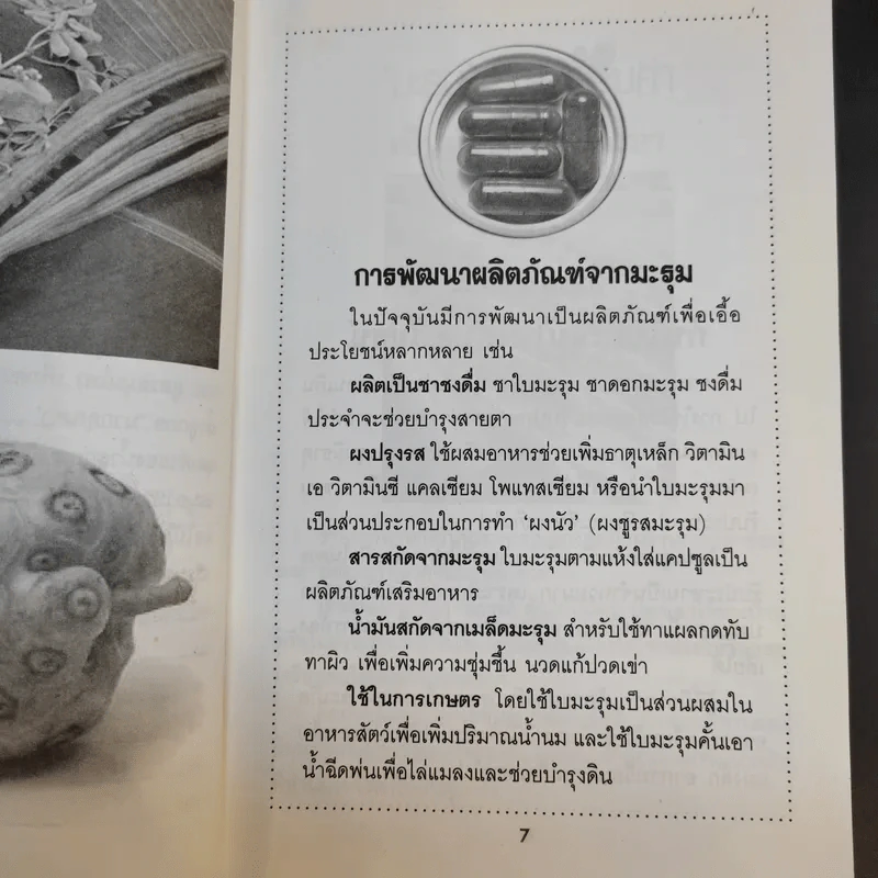 สมุนไพรคู่มหัศจรรย์ ยอ-มะรุม รูปที่ 11