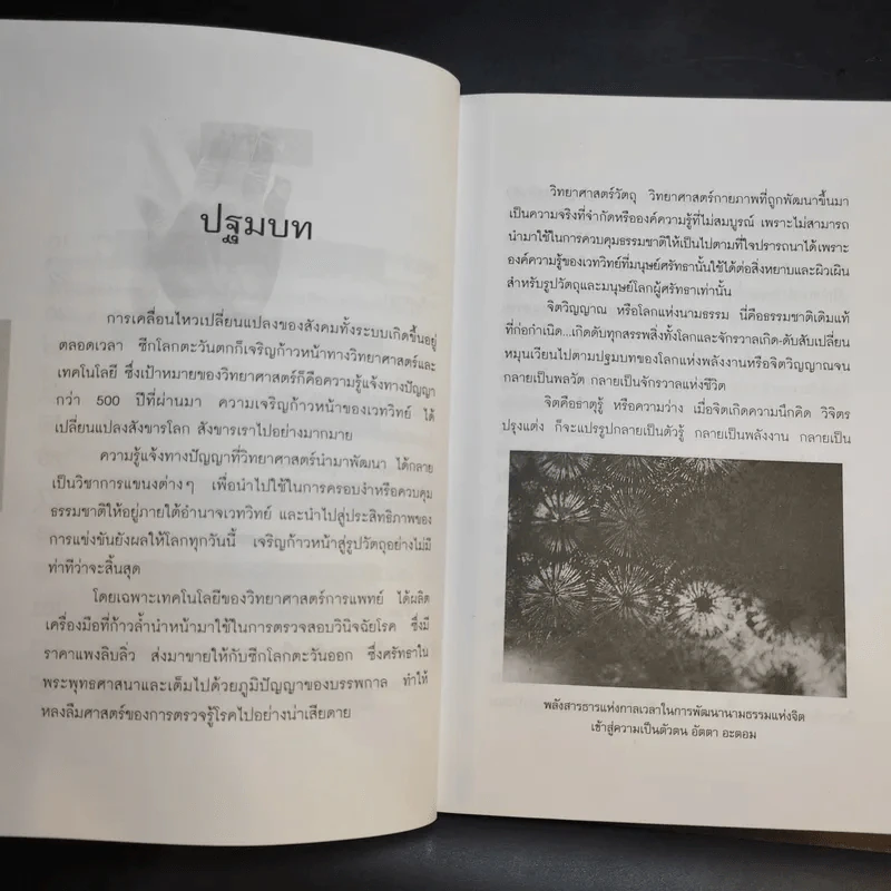 รู้โรคร้ายจากปลายเล็บ - ชีวเวทย์ รูปที่ 11