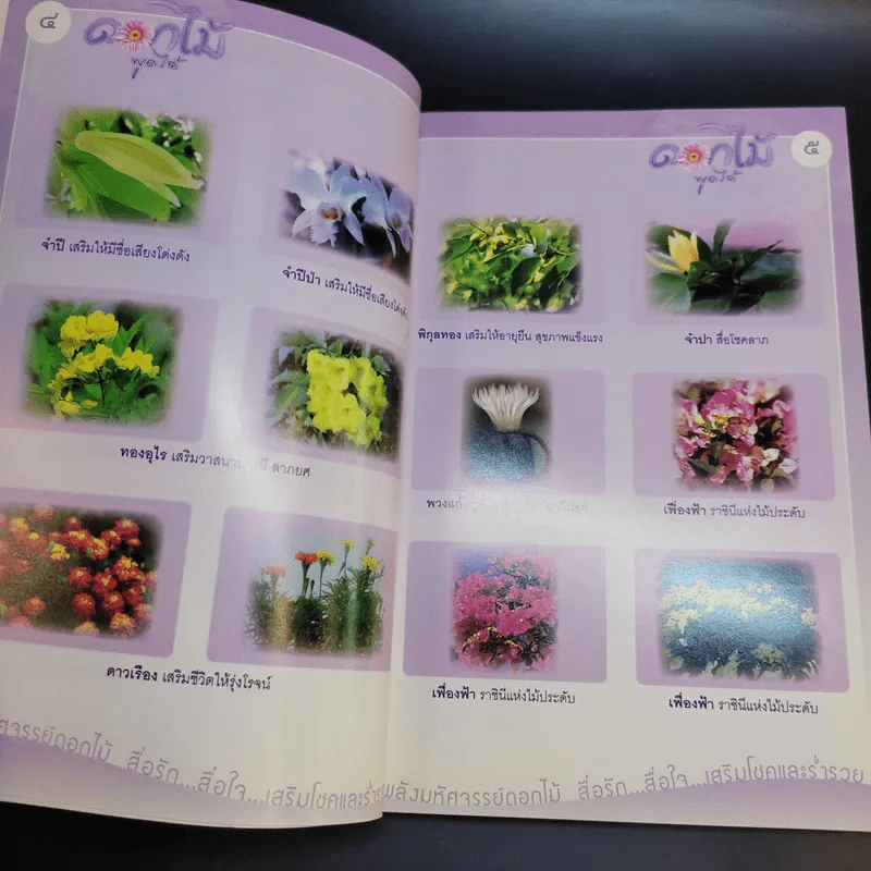 ดอกไม้พูดได้ พลังมหัศจรรย์ดอกไม้ - ศาสตราจารย์สุนีย์ มากบารมี รูปที่ 10