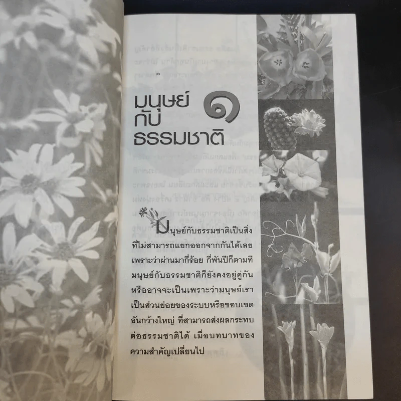 ดอกไม้พูดได้ พลังมหัศจรรย์ดอกไม้ - ศาสตราจารย์สุนีย์ มากบารมี รูปที่ 13