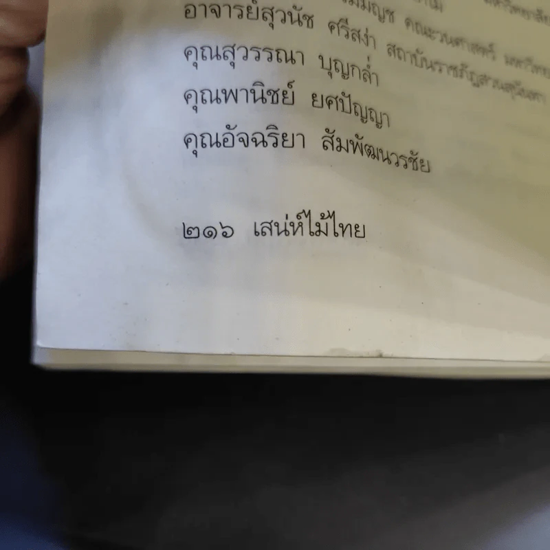 เสน่ห์ไม้ไทย - เสาวลักษณ์ สุขสมัย รูปที่ 16