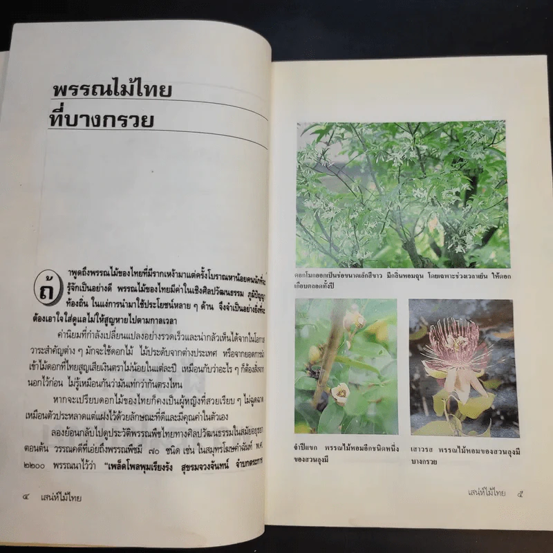 เสน่ห์ไม้ไทย - เสาวลักษณ์ สุขสมัย รูปที่ 15