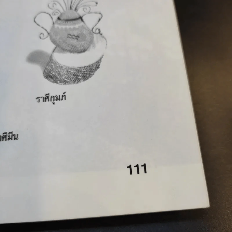 หินสีมีชีวิต - พรรษา ช่างประดิษฐ์ รูปที่ 12
