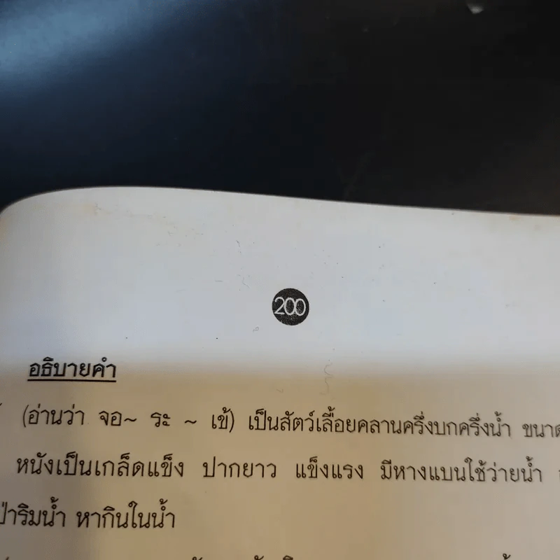 ย่ำต๊อกลาดกระบัง รูปที่ 14