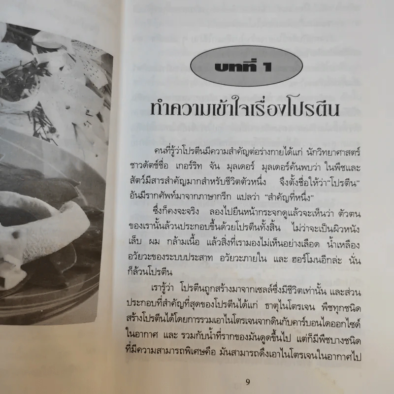 โปรตีนบำบัดโรค กินเนื้อ กินผัก กินอย่างไรได้ประโยชน์สูงสุด - ปาริชาติ สักกะทำนุ รูปที่ 9