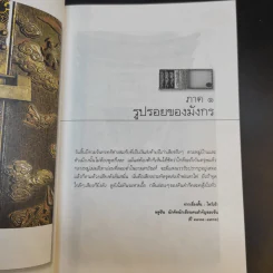 มังกรซ่อนลาย - เรืองรอง รุ่งรัศมี รูปที่ 10