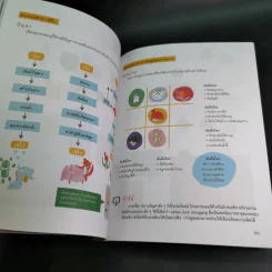 Hello Ruby ผจญภัยไปกับ Coding รูปที่ 11