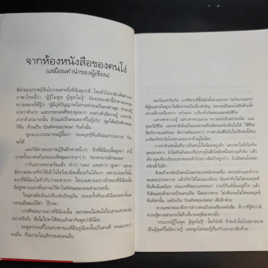 มังกรซ่อนลาย - เรืองรอง รุ่งรัศมี รูปที่ 11