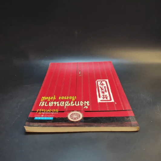 มังกรซ่อนลาย - เรืองรอง รุ่งรัศมี รูปที่ 5