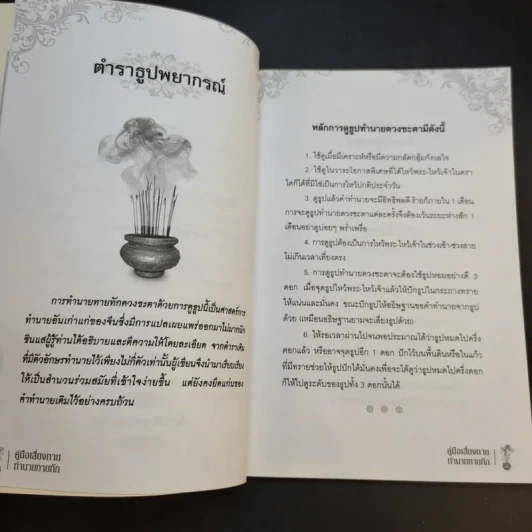 คู่มือเสี่ยงทาย ทำนายทายทัก - ไชยา บุญพิทักษ์ รูปที่ 11