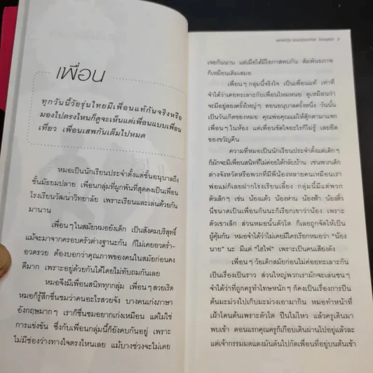 เปรี้ยวหลบใน - แพทย์หญิง คุณหญิงพรทิพย์ โรจนสุนันท์ รูปที่ 14