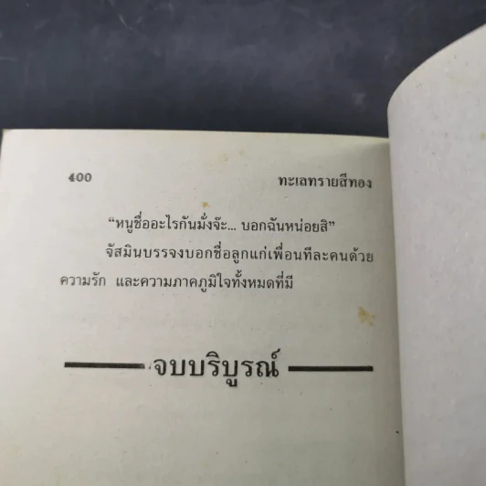 ทะเลทรายสีทอง - นภาลัย ไผ่สีทอง รูปที่ 11