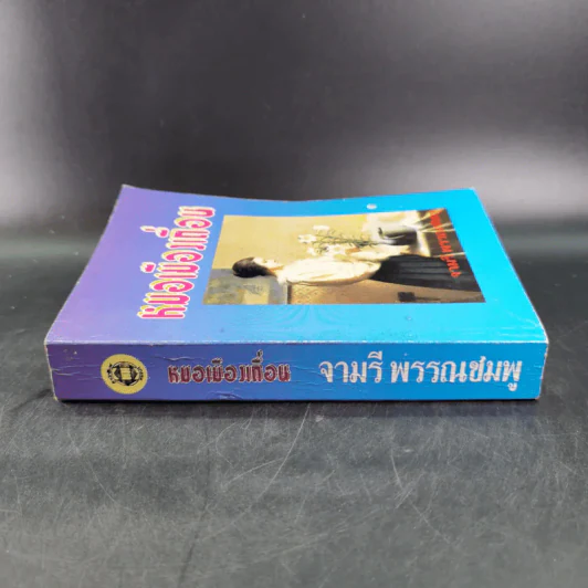 หมอเมืองเถื่อน - จามรี พรรณชมพู รูปที่ 3