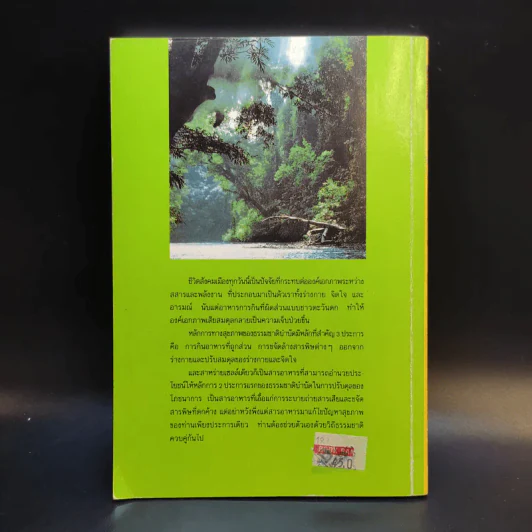 สาหร่ายเซลล์เดียว สารอาหารจากแสงตะวัน รูปที่ 2