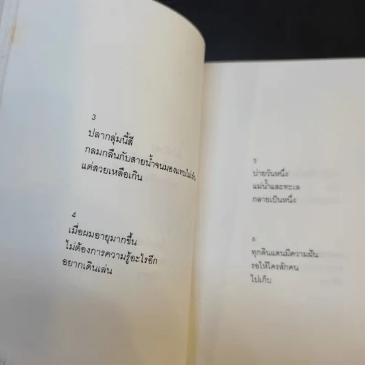 บทกวีแคนโต้ หมายเลข 2 - ฟ้า พูลวรลักษณ์ รูปที่ 12
