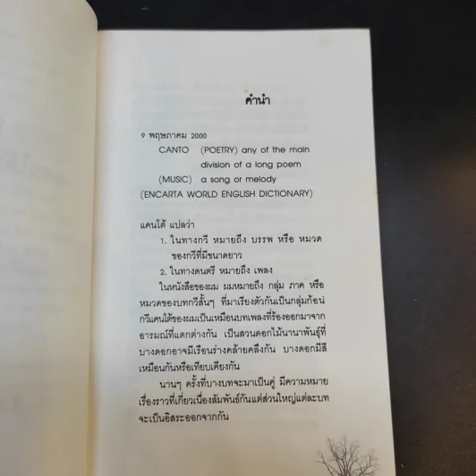 บทกวีแคนโต้ หมายเลข 2 - ฟ้า พูลวรลักษณ์ รูปที่ 9