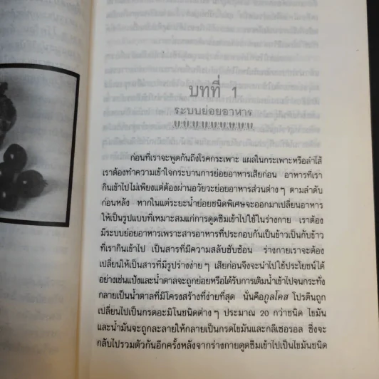 โภชนาหารบำบัดโรคกระเพาะ เพื่อการป้องกันรักษาแผนใหม่ - ภาณุ อัมพรบุพชา รูปที่ 12