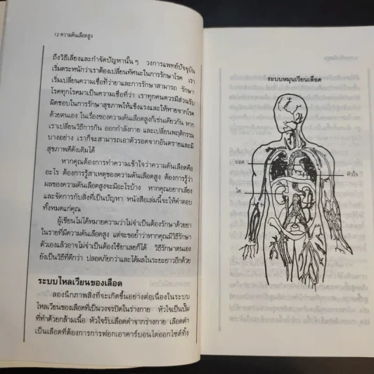 ธรรมชาติบำบัด ความดันเลือดสูง - นพ.ไพบูลย์ จาตุรปัญญา รูปที่ 14