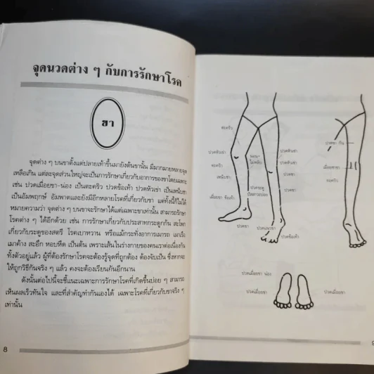 ตำรับนวด ตำรายารักษาโรค วัดโพธิ์ - แทนไท อ.ตระกูล รูปที่ 11