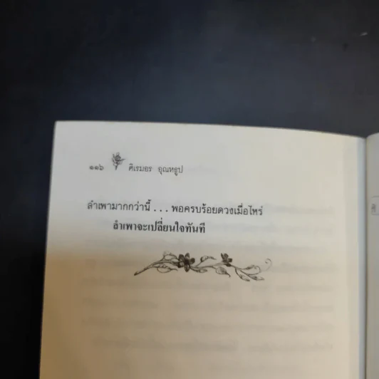 วันที่แดดเปลี่ยนสี - ศิเรมอร อุณหธูป รูปที่ 14