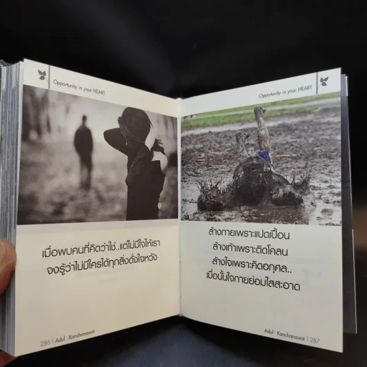 Opportunity in your heart - อดุลย์ กาญจนวัฒน์ รูปที่ 12