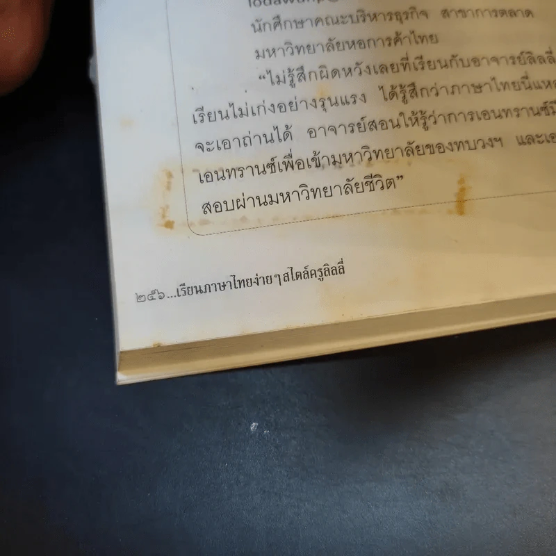 เรียนภาษาไทยง่ายๆสไตล์ครูลิลลี่ รูปที่ 13