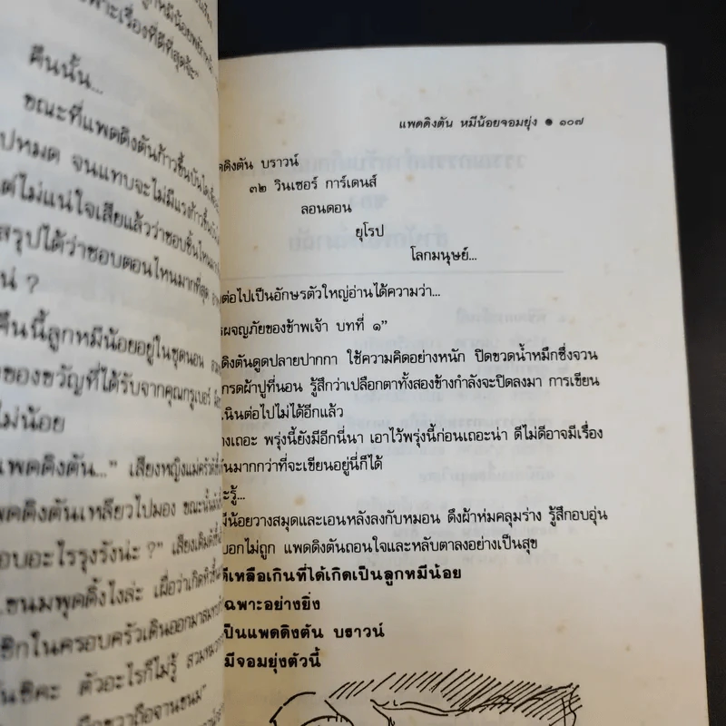 แพดดิงตัน หมีน้อยจอมยุ่ง รูปที่ 13