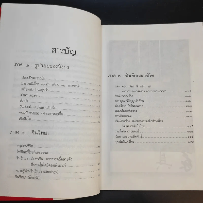 มังกรซ่อนลาย - เรืองรอง รุ่งรัศมี รูปที่ 9