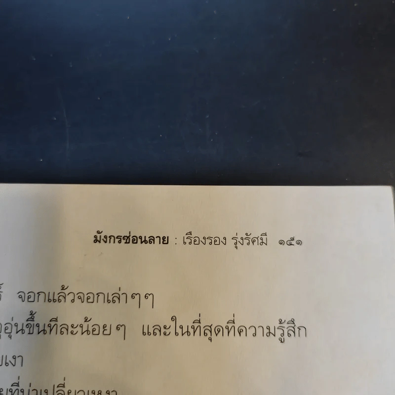 มังกรซ่อนลาย - เรืองรอง รุ่งรัศมี รูปที่ 12