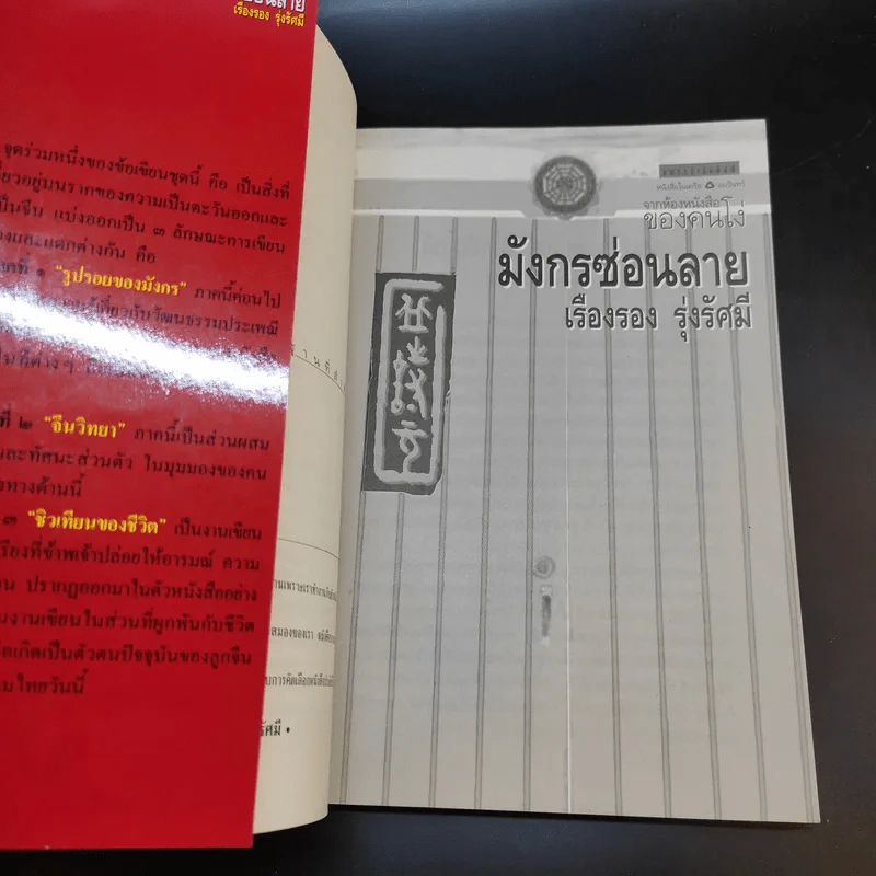 มังกรซ่อนลาย - เรืองรอง รุ่งรัศมี รูปที่ 7