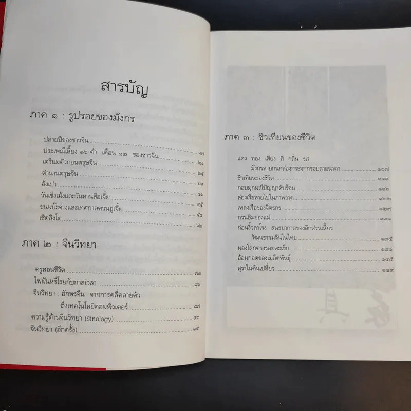 มังกรซ่อนลาย - เรืองรอง รุ่งรัศมี รูปที่ 12