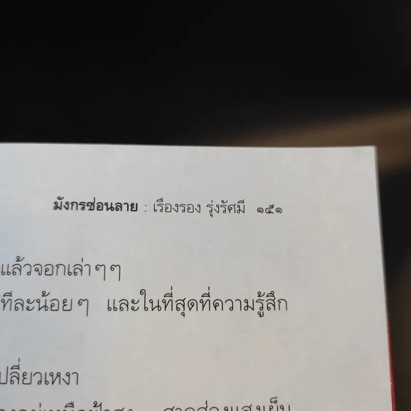 มังกรซ่อนลาย - เรืองรอง รุ่งรัศมี รูปที่ 14