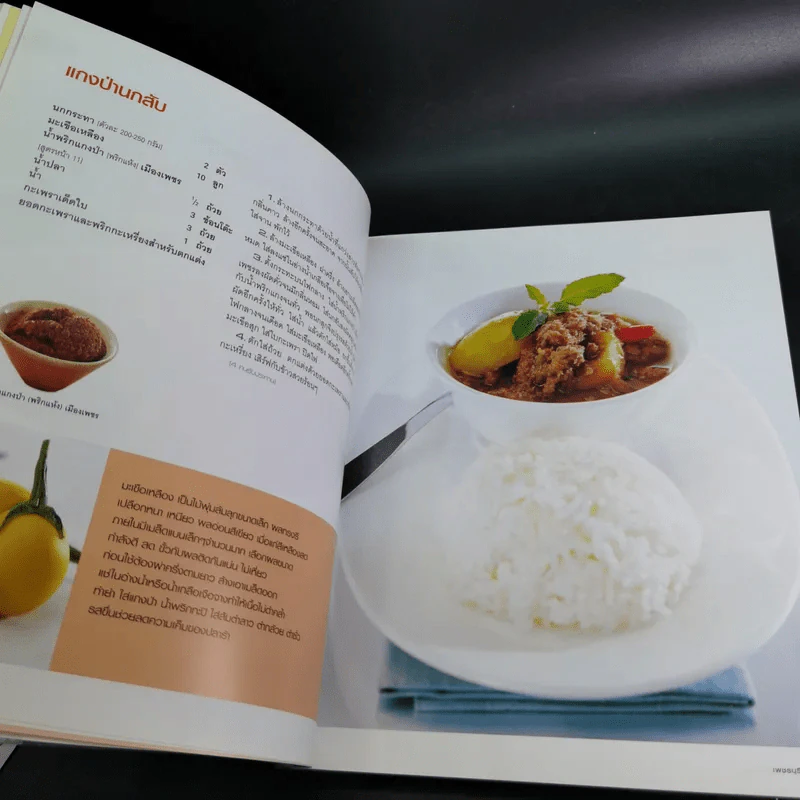 ข้าวแกงเป็นอาชีพ - สำนักพิมพ์แสงแดด รูปที่ 13