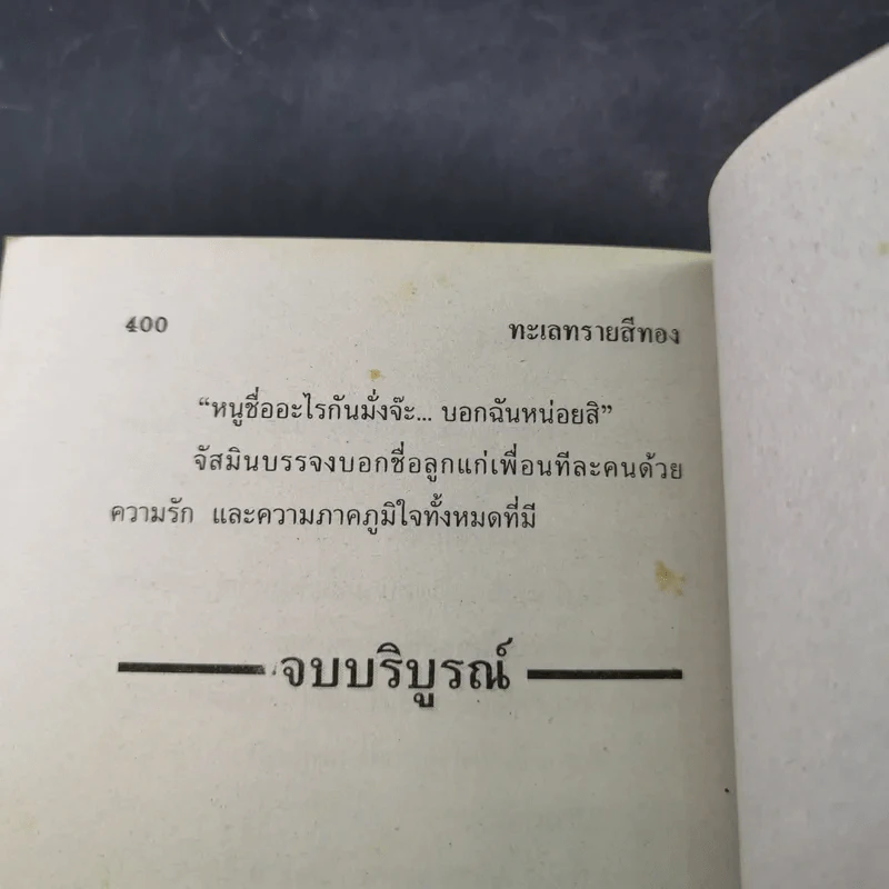 ทะเลทรายสีทอง - นภาลัย ไผ่สีทอง รูปที่ 11