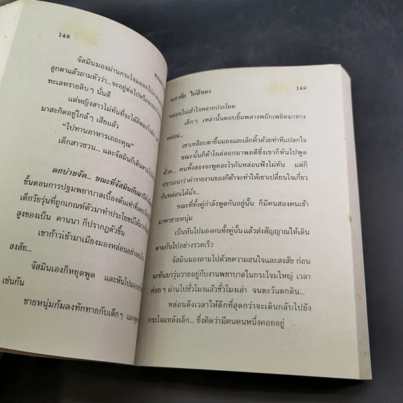 ทะเลทรายสีทอง - นภาลัย ไผ่สีทอง รูปที่ 10