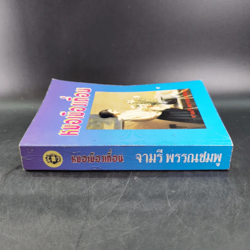 หมอเมืองเถื่อน - จามรี พรรณชมพู รูปที่ 3