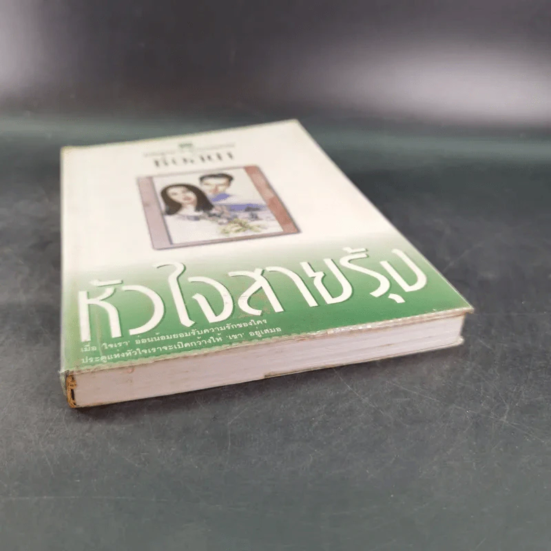 หัวใจสายรุ้ง - ช่อลัดา รูปที่ 4