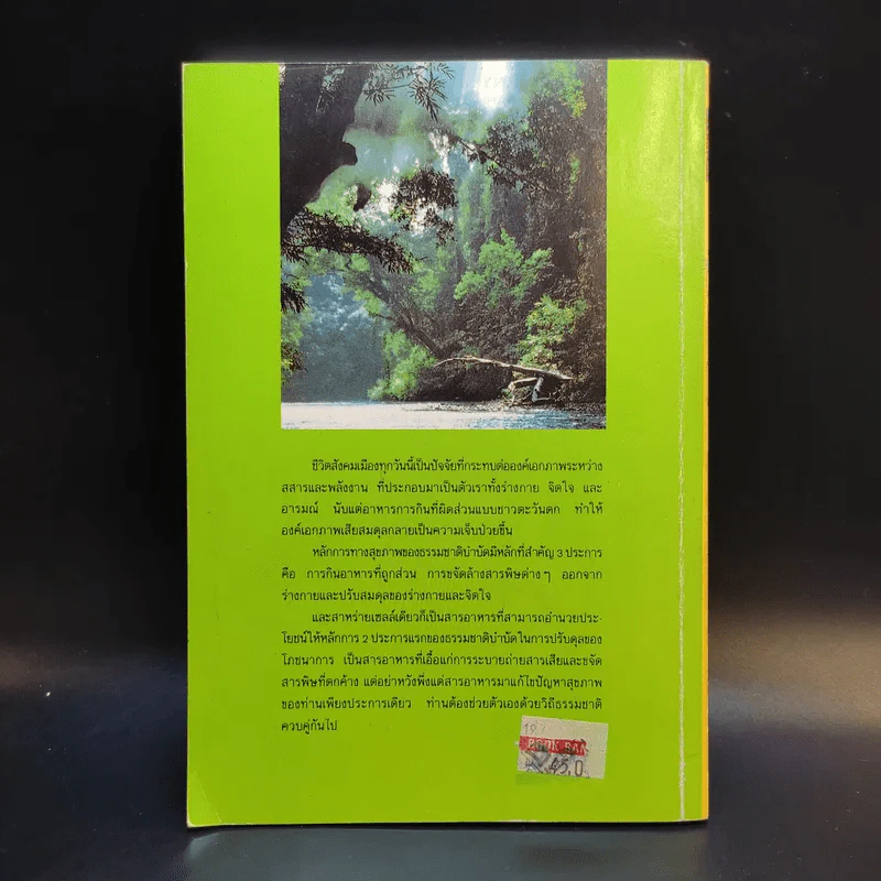 สาหร่ายเซลล์เดียว สารอาหารจากแสงตะวัน รูปที่ 2