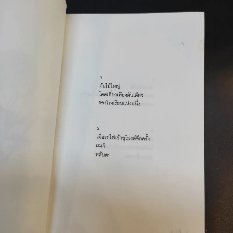 บทกวีแคนโต้ หมายเลข 2 - ฟ้า พูลวรลักษณ์ รูปที่ 11