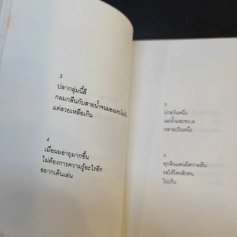 บทกวีแคนโต้ หมายเลข 2 - ฟ้า พูลวรลักษณ์ รูปที่ 12