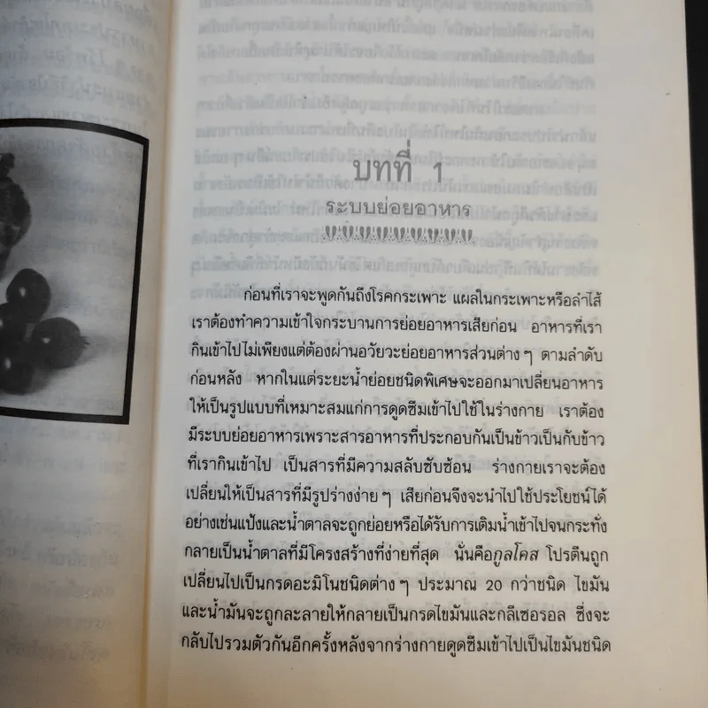 โภชนาหารบำบัดโรคกระเพาะ เพื่อการป้องกันรักษาแผนใหม่ - ภาณุ อัมพรบุพชา รูปที่ 12