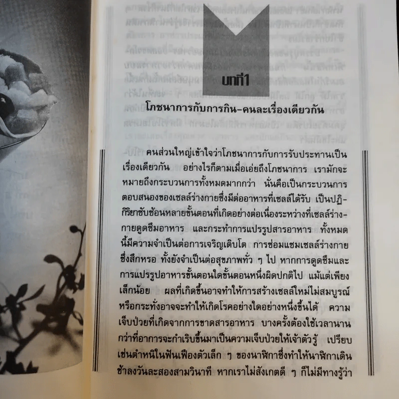 กินกันแก่ ปรับแนวการกินเพื่ออายุวัฒนะ - นพ.ไพบูลย์ จาตุรปัญญา รูปที่ 12