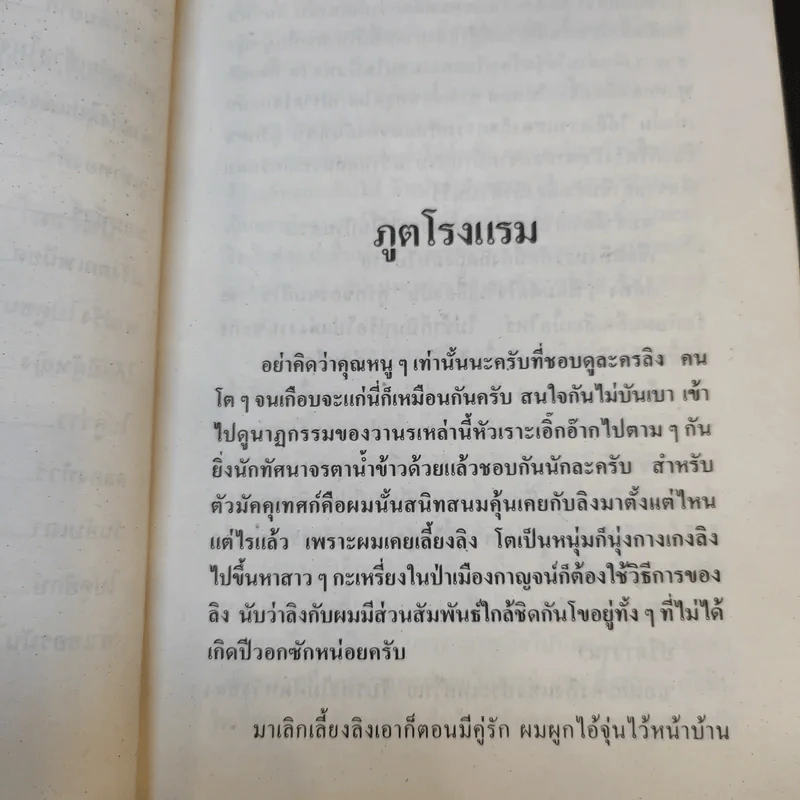 ไก๊ด์บางกอก 4 - ต๊ะ ท่าอิฐ รูปที่ 11