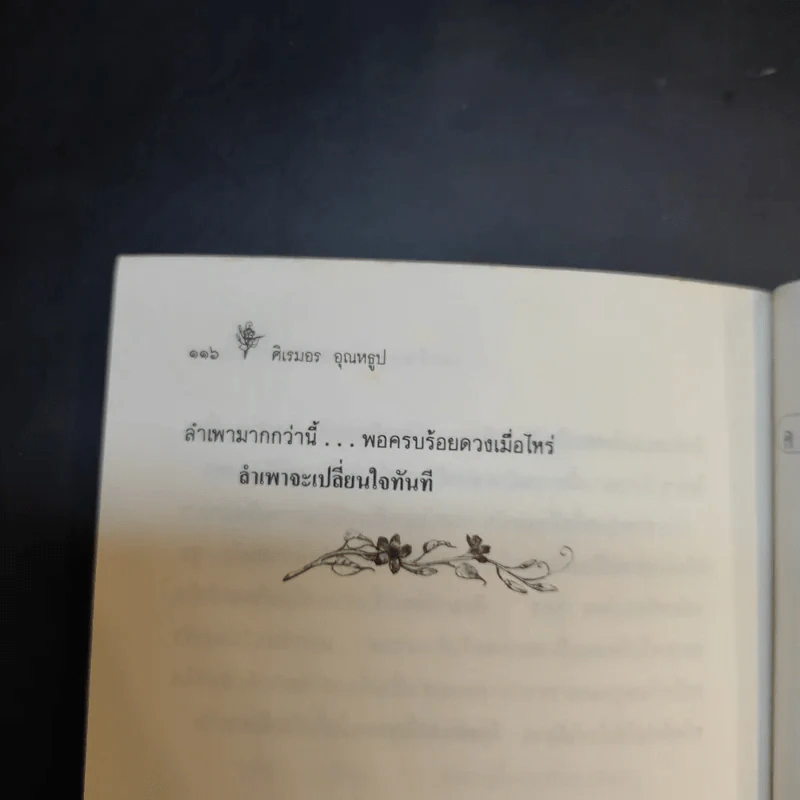 วันที่แดดเปลี่ยนสี - ศิเรมอร อุณหธูป รูปที่ 14